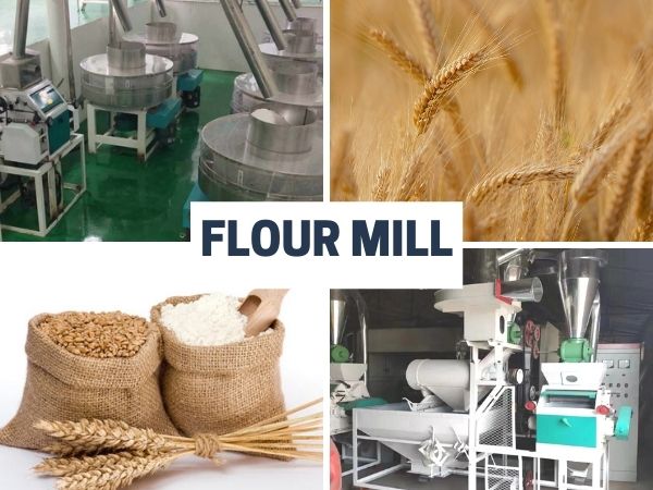 Is there wheat flour milling machine suitable for small business?