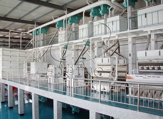 How to process paddy into rice with a rice milling plant?