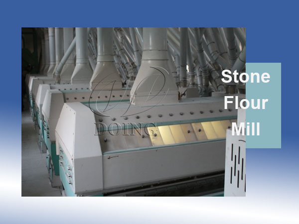 How does the stone flour mill influence the quality of final wheat flour?